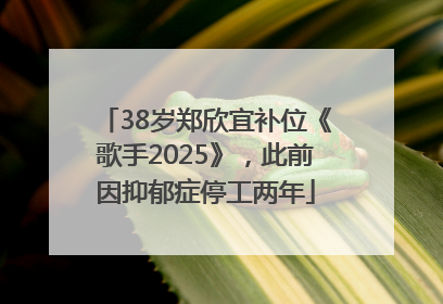 38岁郑欣宜补位《歌手2025》，此前因抑郁症停工两年