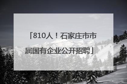 810人！石家庄市市属国有企业公开招聘