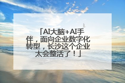 AI大脑+AI手伴，面向企业数字化转型，长沙这个企业太会整活了！