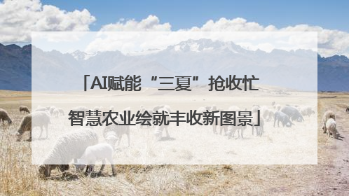 AI赋能“三夏”抢收忙 智慧农业绘就丰收新图景
