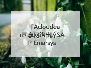 Acloudear司享网络出席SAP Emarsys峰会：破解流量困局，驱动精准增长