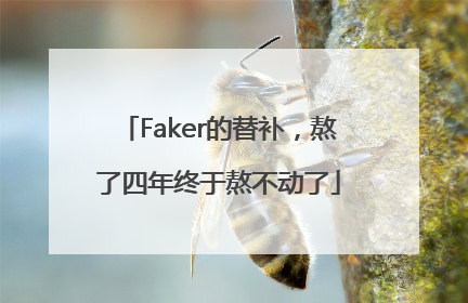 Faker的替补，熬了四年终于熬不动了