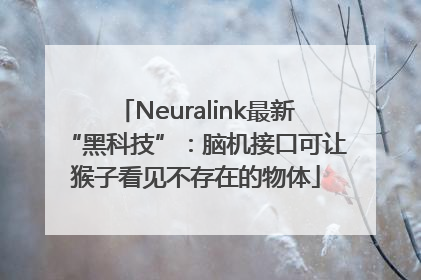 Neuralink最新“黑科技”：脑机接口可让猴子看见不存在的物体